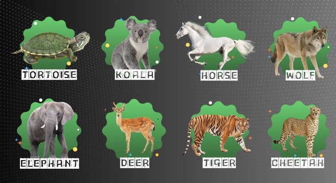 Risk profile Created in Sanchay karo app